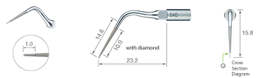 Endodontics/E4D -varios